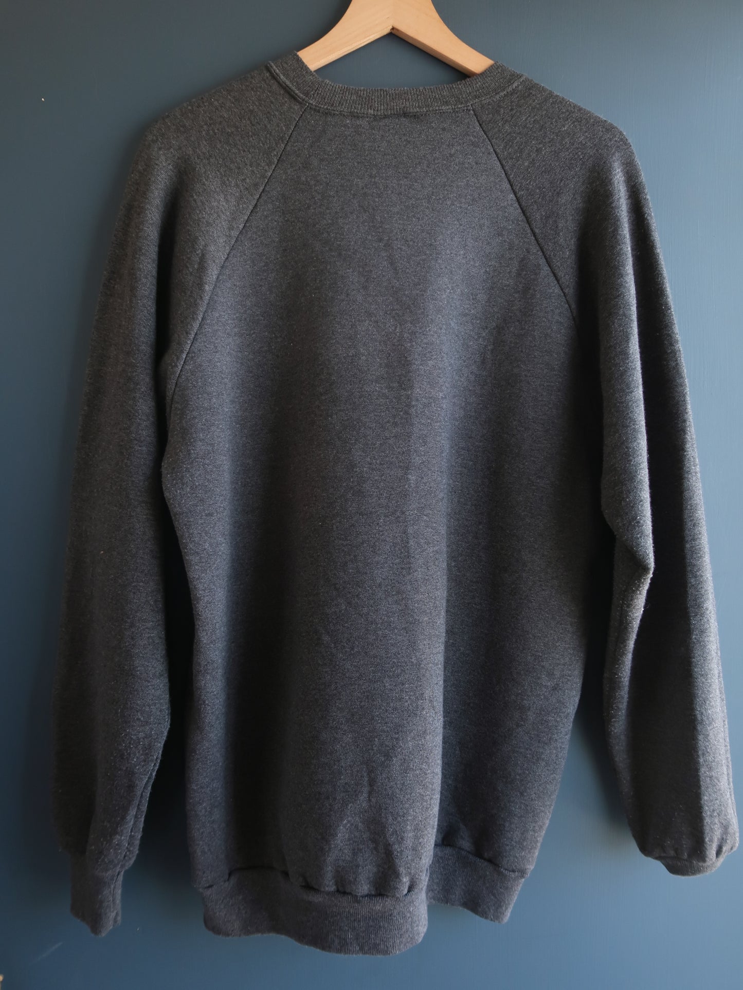 1990s Nature Sweatshirt Size XL